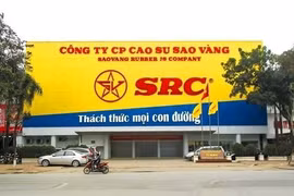 Lợi nhuận sau kiểm toán tăng 21%, Cao su Sao Vàng nói gì?