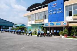 Dược Hậu Giang lãi 266 tỷ trong quý 1, ôm lượng tiền mặt khủng