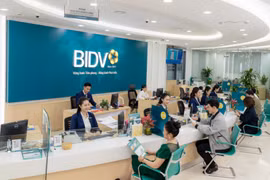 BIDV lãi trước thuế hợp nhất 31.000 tỷ đồng trong năm 2024