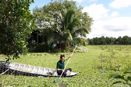 Anh nông dân nuôi con quen thuộc, kiếm gần 200 triệu/tháng