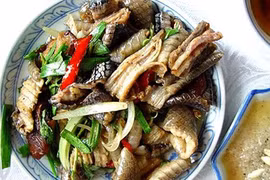 Những món đặc sản ở Đồng Tháp: Lạ miệng với tắc kè xào lăn