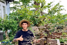 Khởi nghiệp từ cây bonsai cổ thụ, 9x Đắk Lắk doanh thu hàng tỷ/năm