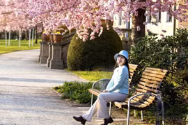 Mê đắm cảnh đẹp giữa mùa xuân châu Âu