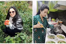 Cuộc sống của Thanh Thanh Hiền trong nhà vườn nghìn mét vuông
