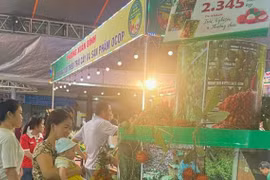Đến lễ hội trái cây, du khách được ăn chôm chôm miễn phí