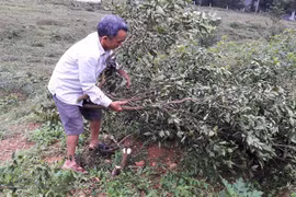 Gallery - Thu Hồi Tiêu Độc PV Của Dược Thảo Phúc Vinh - image 2