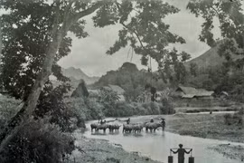 Ảnh độc về vùng đất Bắc Hà nguyên sơ 100 năm trước