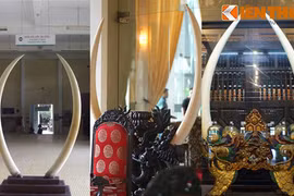 Gallery - Bộ Y Tế Thanh Tra Pepsico Việt Nam - image 6