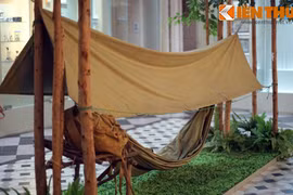 Gallery - Kỷ niệm 75 năm ngày thành lập QĐND Việt Nam - image 9