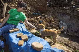 Gallery - Động Đất Ở Nepal - image 8