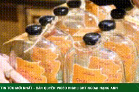 Bán không khí Đà Lạt trong chai thủy tinh- ý tưởng kinh doanh độc đáo