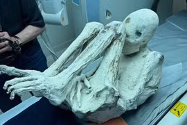 2 xác ướp "người ngoài hành tinh" từ Peru đang gây tranh cãi
