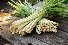 6 tác dụng chữa bệnh vượt trội của cây sả