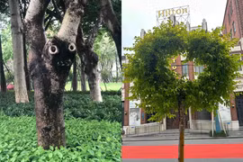 Những khoảnh khắc thiên nhiên kì lạ đến khó tin