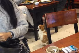 Bất ngờ với "gương mặt vàng trong làng ăn xin” cực yêu vì hành động này