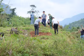 Xã hội hóa nguồn lực trồng rừng