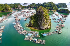 Làng chài Cửa Vạn “viên ngọc ẩn” giữa lòng vịnh Hạ Long