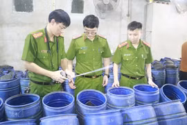Phát hiện 3.500 tấn giá đỗ ngâm hóa chất ở Nghệ An