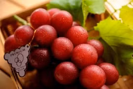 Khám phá "sốc" loài nho mang tên "sang chảnh", trái cây đắt nhất TG