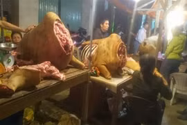 Gallery - Đặc Sản Miền Tây - image 11