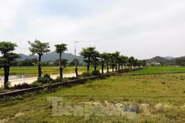 Gallery - Bãi rác Nam Sơn bị chặn - image 4