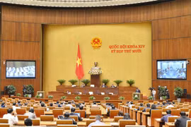 Gallery - KỲ HỌP THỨ 10 QUỐC HỘI XIV  - image 2