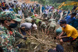 Gallery - THẢM HỌA SẠT LỞ VÙI NHIỀU NGƯỜI Ở QUẢNG NAM - image 10