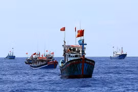 Gallery - TUYÊN BỐ CỦA NGƯỜI PHÁT NGÔN BỘ NGOẠI GIAO VIỆT NAM - image 5