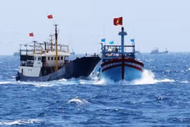 Gallery - TUYÊN BỐ CỦA NGƯỜI PHÁT NGÔN BỘ NGOẠI GIAO VIỆT NAM - image 11
