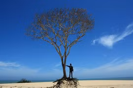 Cô ấy giết con tôi