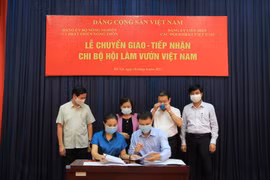 Gallery - HỎI ĐÁP VỀ VUSTA - image 2