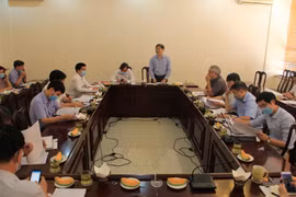 Cơ quan Trung ương đóng góp ý kiến Đề án tổ chức bộ máy và hoạt động của VUSTA 