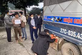 Truy bắt 3 đối tượng vận chuyển 40 bánh heroin trong thùng xe tải