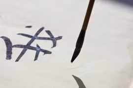 Mực Tàu có thể chữa ung thư