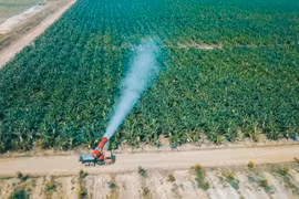 HAGL Agrico: Lỗ lũy kế hơn 8.000 tỷ đồng, dự đoán năm 2025 mới tăng trưởng 