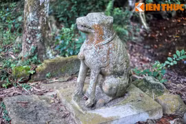 Gallery - Hà Nội cấm ăn thịt chó - image 4