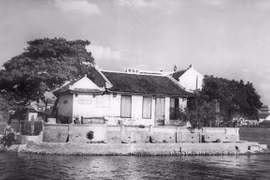 Gallery - Hà Nội cấm ăn thịt chó - image 6