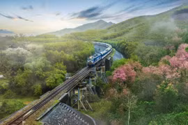 Cẩn trọng sập bẫy lừa đảo tour siêu khuyến mãi dịp Tết