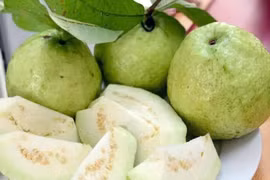 Ổi cực giàu vitamin C nhưng 5 nhóm người này nên hạn chế ăn