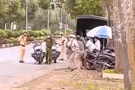 Gallery - Tình Yêu Giới Trẻ - image 5