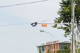 Gallery - Công Nghệ Việt Nam - image 9