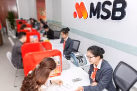 Năng lực tài chính của MSB như nào khi liên tục gọi vốn từ kênh trái phiếu?