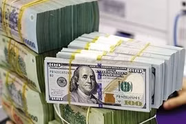 Tỷ giá USD hôm nay 12/11/2024: Tăng nhẹ?