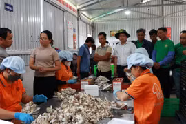 Cô giám đốc 9X trồng nấm tạo vô số việc làm
