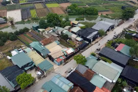 Xây dựng trên đất nông nghiệp Tây Tựu: Hà Nội sẽ cho kiểm tra ngay