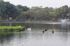 Hà Nội nói về chủ trương mở phố đi bộ khu Công viên Thống nhất và hồ Thiền Quang