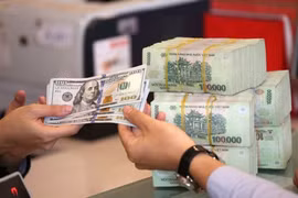 Tỷ giá USD hôm nay 25/11/2023: Biến động ra sao?