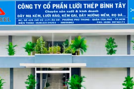 Lưới thép Bình Tây bị phạt 455 triệu đồng do vi phạm về môi trường, 