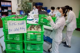 Chuyến bay lúc 1h sáng mang theo 1.000 đơn vị máu chi viện TP.HCM