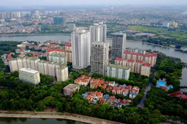 Gallery - ĐẤU THẦU NHÀ ĐẤT - image 4